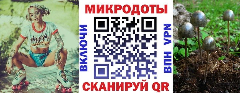 Галлюциногенные грибы ЛСД  Димитровград 