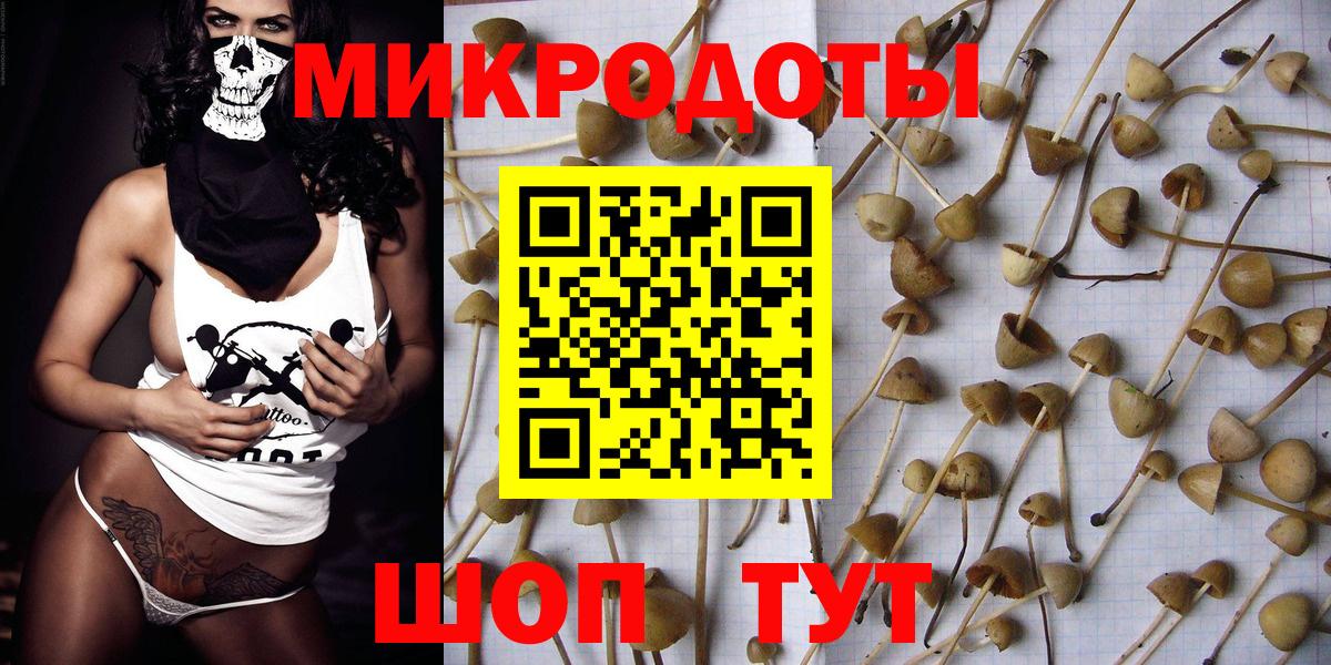 Псилоцибиновые грибы прущие грибы  Вход с VPN  закладка  Псилоцибиновые грибы Cubensis  Димитровград 